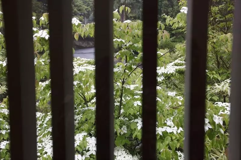 בית מלון כפרי Yunokaze Hazu