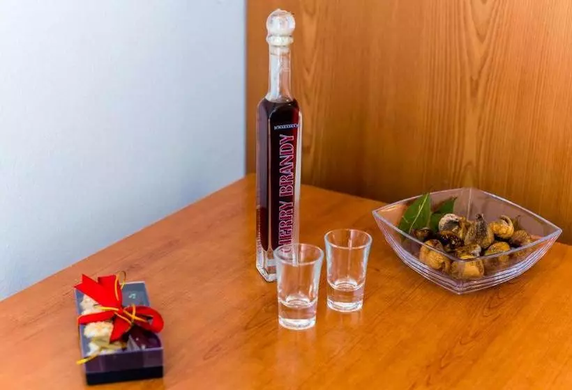 Pensão Guest House Brigita