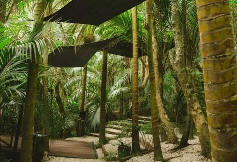 Отель Greenmantle Estate