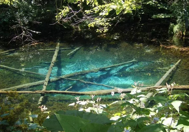 Отель Kawayu Kanko