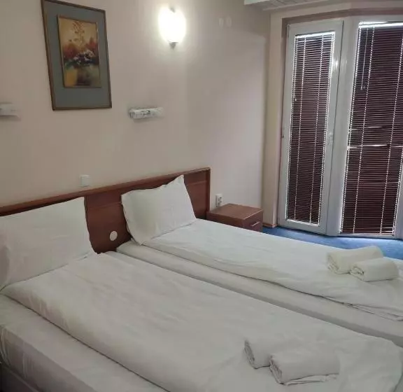 Hotel Montana Palace