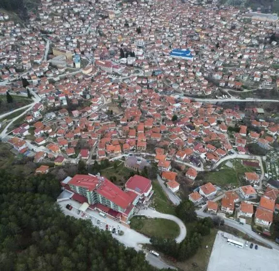 Hotel Montana Palace