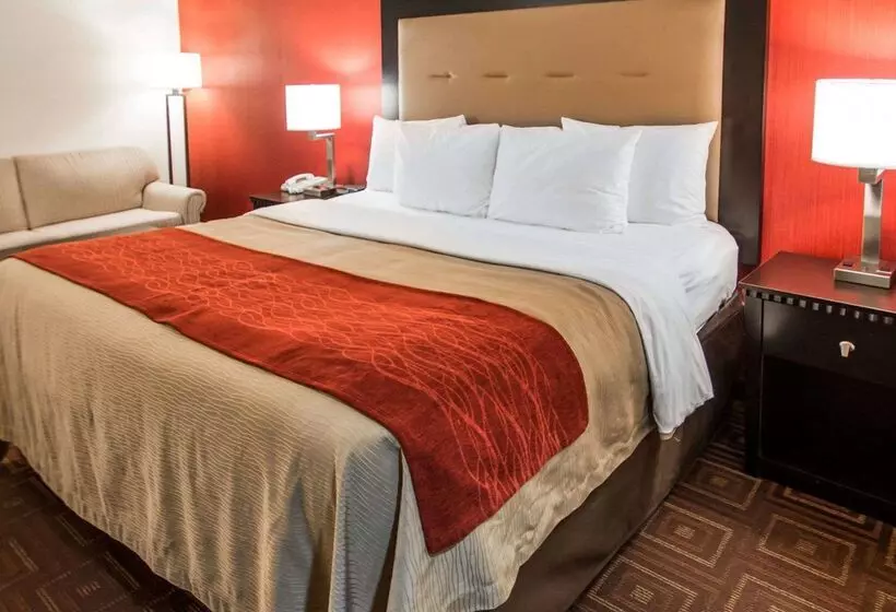 בית מלון כפרי Quality Inn & Suites Nj State Capital Area