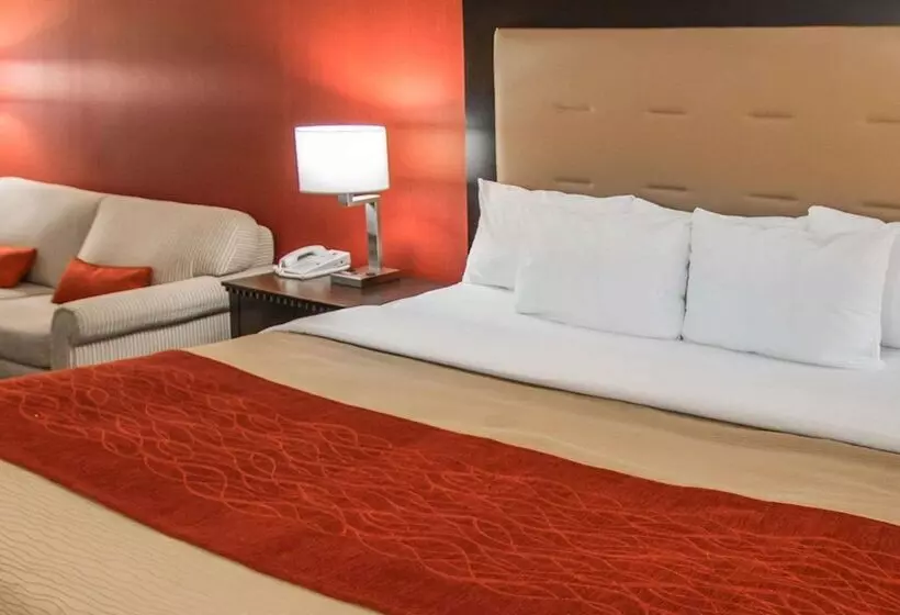 酒店 Quality Inn & Suites Nj State Capital Area