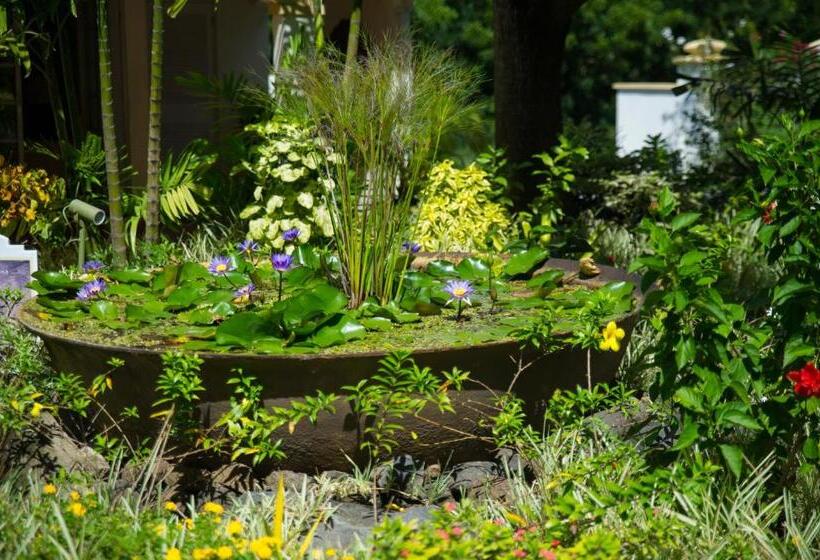 هتل Blue Horizons Garden Resort