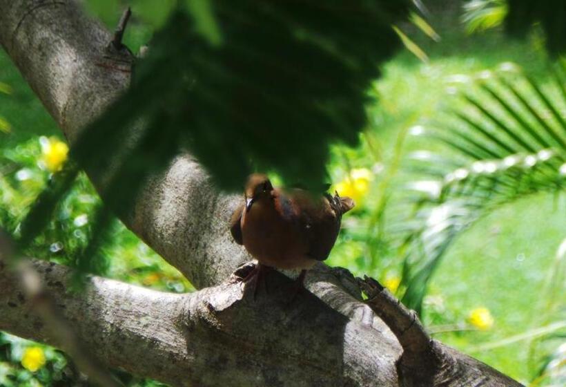 هتل Blue Horizons Garden Resort