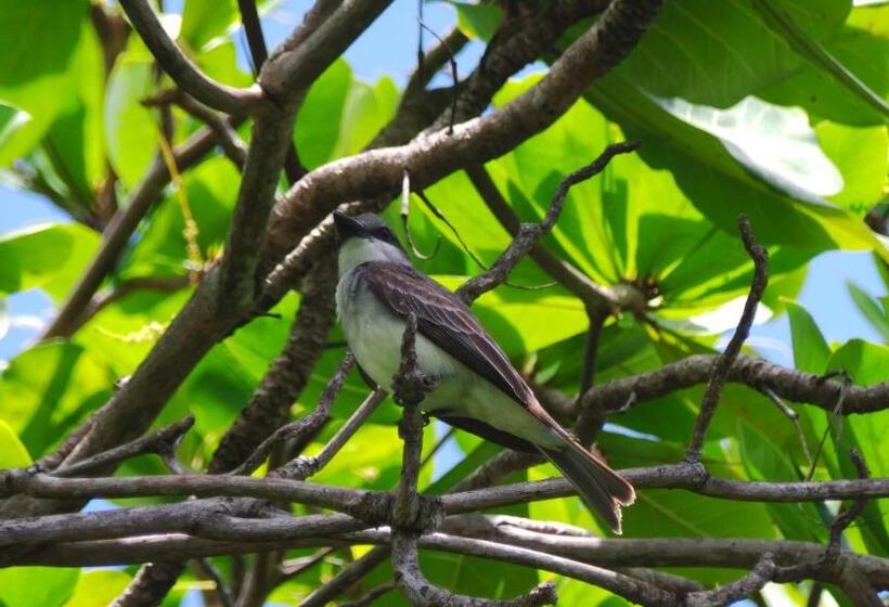 هتل Blue Horizons Garden Resort