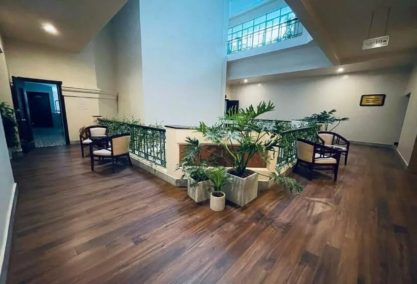 The Tray Hotel Hai Phong