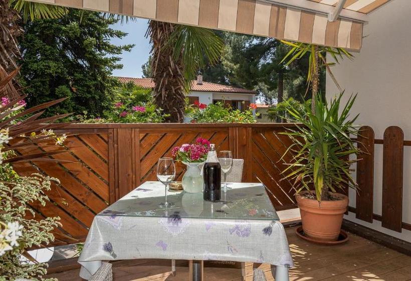 پانسیون Boutique Hotel Santa Maria