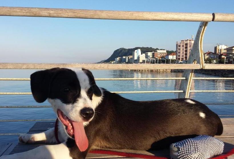 בית מלון כפרי Flying