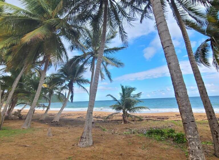 هتل Parador Maunacaribe