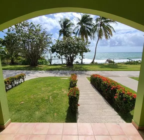 هتل Parador Maunacaribe