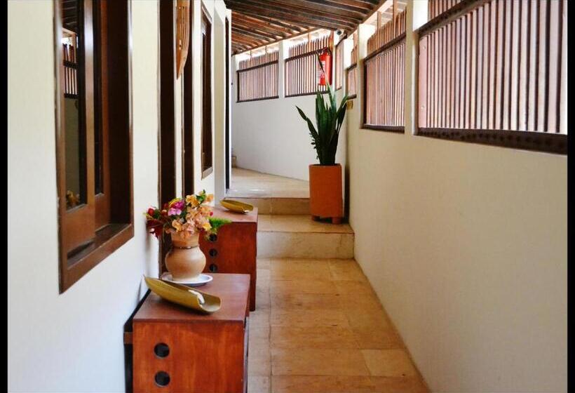 בית מלון כפרי Samba Do Kite Pousada