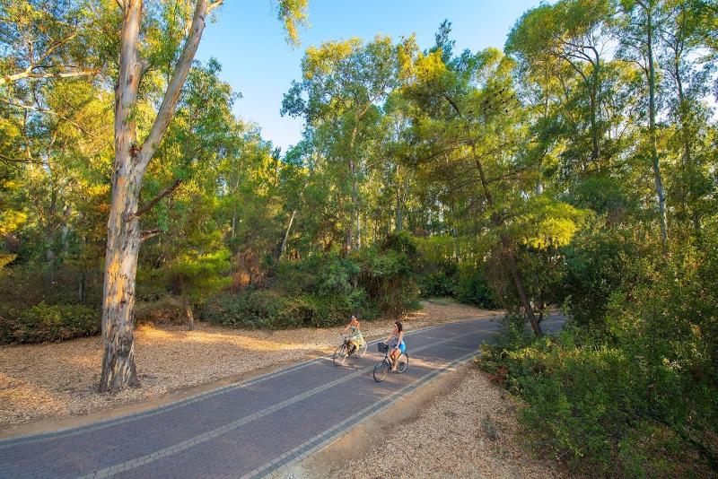 Отель Sibari Green Resort