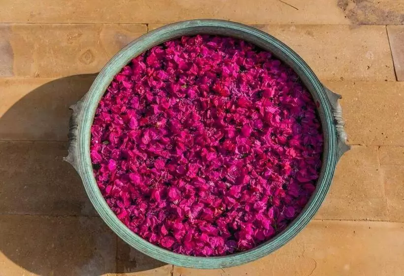 Отель Suryagarh Jaisalmer