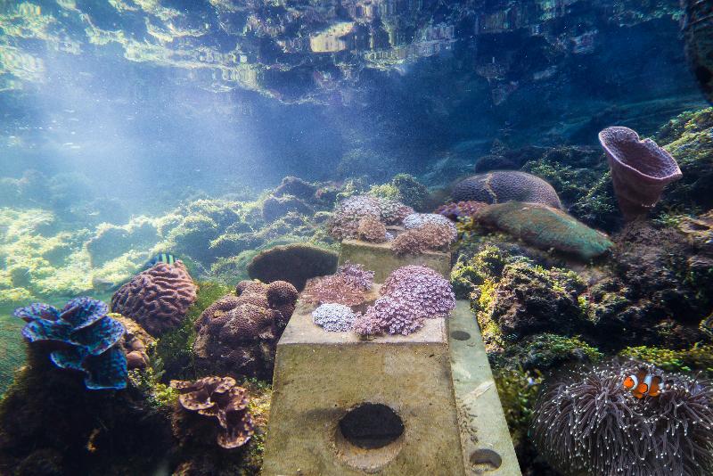 酒店 The Andaman, A Luxury Collection Resort, Langkawi