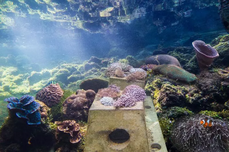 ホテル The Andaman, A Luxury Collection Resort, Langkawi