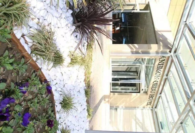 Anemon Kent Ordu Otel