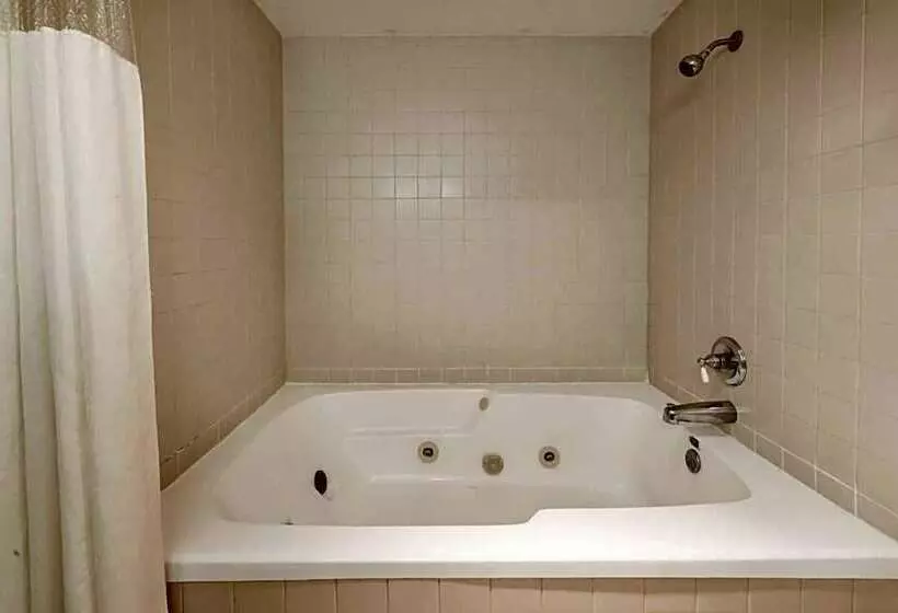 酒店 Best Value Inn