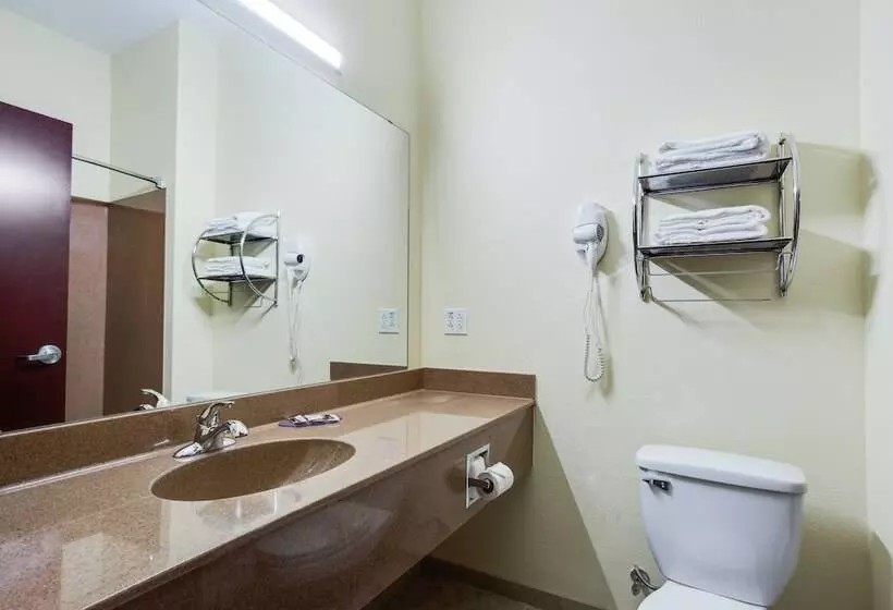 酒店 Best Way Inn Cleburne