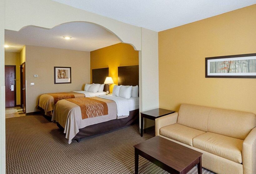Отель Comfort Inn & Suites