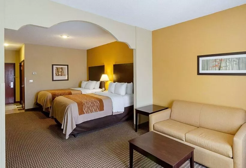 فندق Comfort Inn & Suites