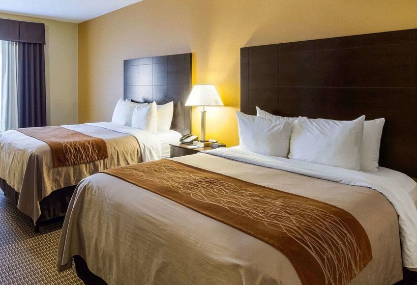 Отель Comfort Inn & Suites