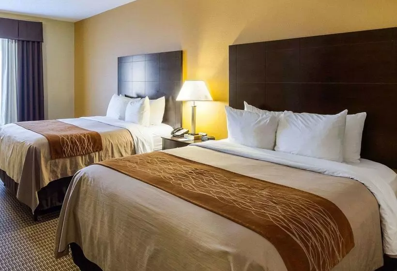 فندق Comfort Inn & Suites