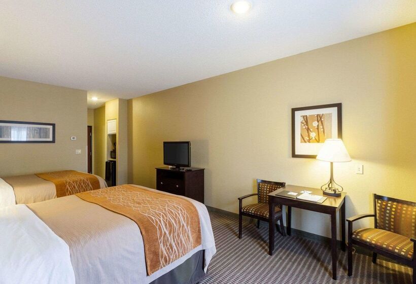 Отель Comfort Inn & Suites