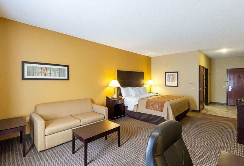 Отель Comfort Inn & Suites