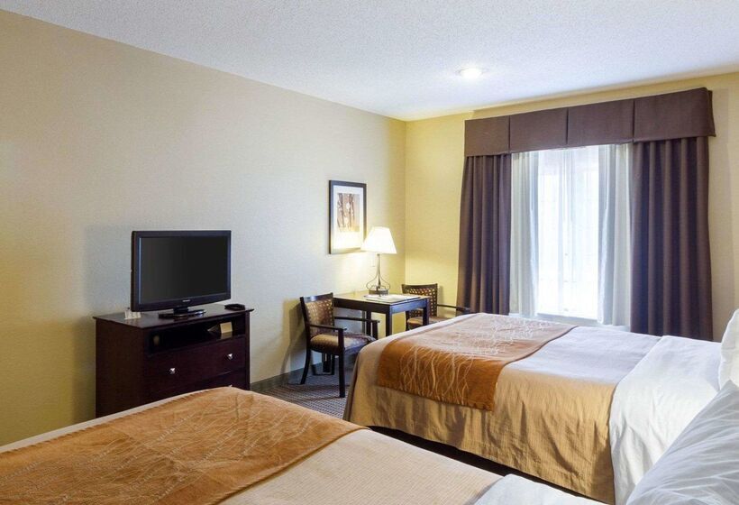 Отель Comfort Inn & Suites