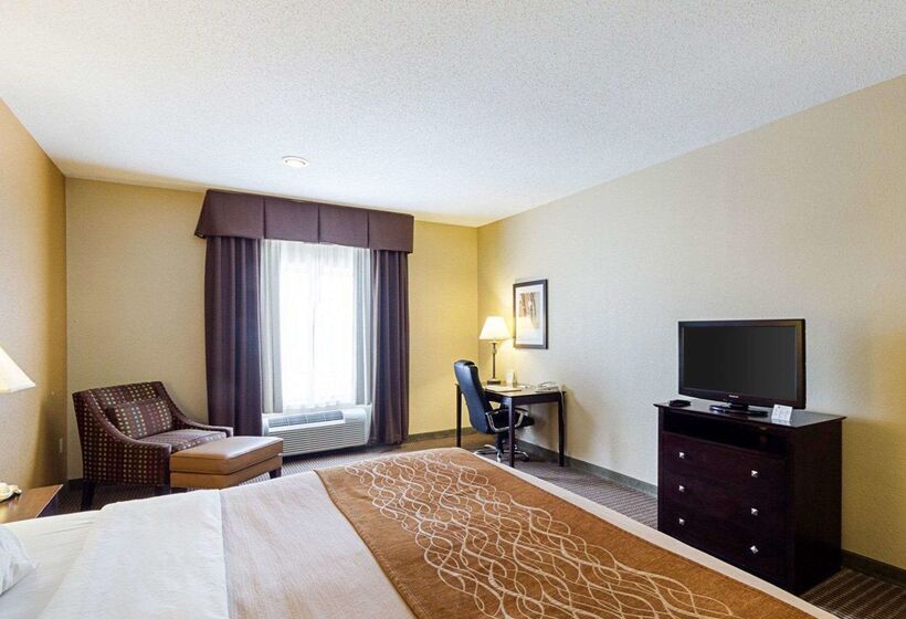 Отель Comfort Inn & Suites