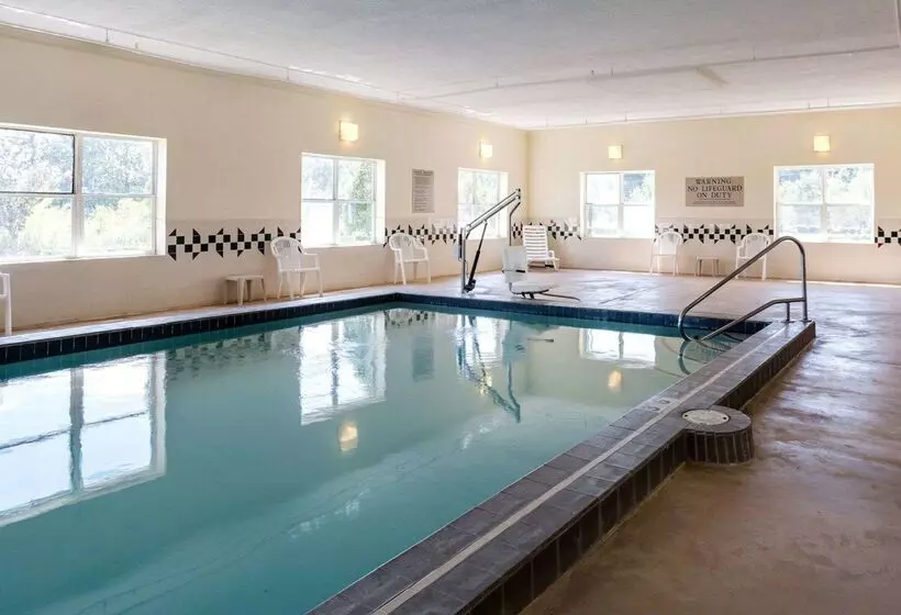 فندق Comfort Inn & Suites