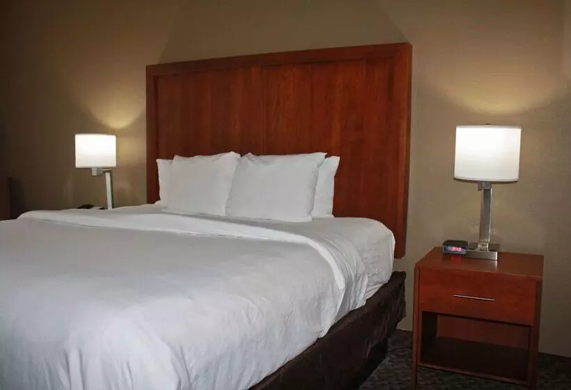 فندق Comfort Inn & Suites