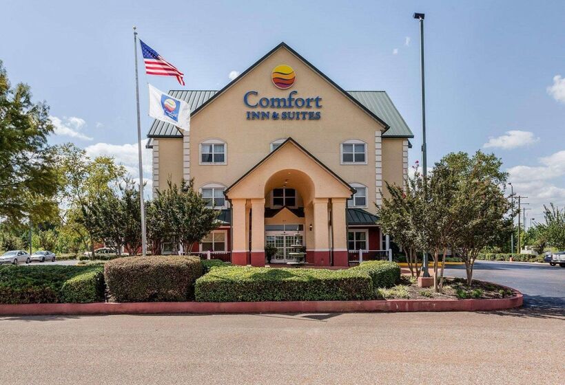 ホテル Comfort Inn & Suites