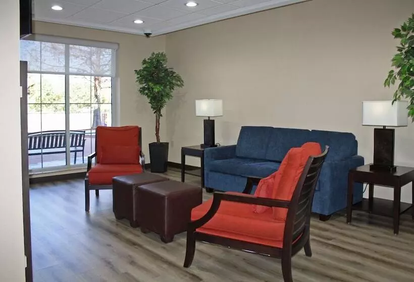 فندق Comfort Inn & Suites