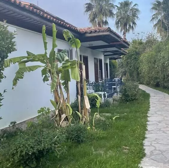 ホテル Dalyan Yunus