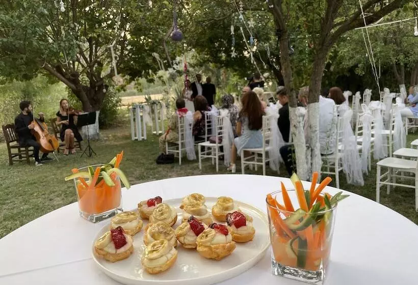 ホテル Dalyan Yunus