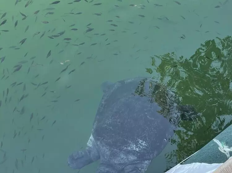 ホテル Dalyan Yunus