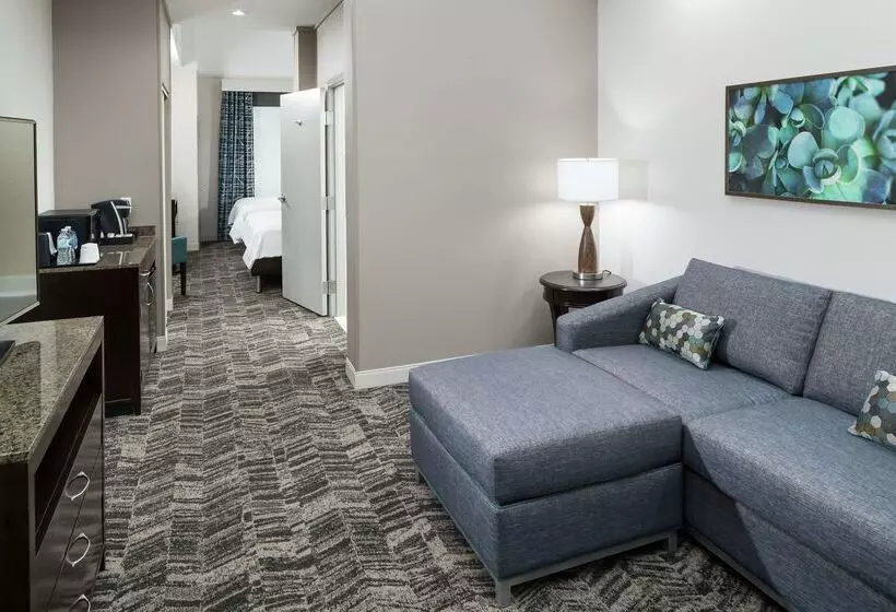 酒店 Hilton Garden Inn Dothan