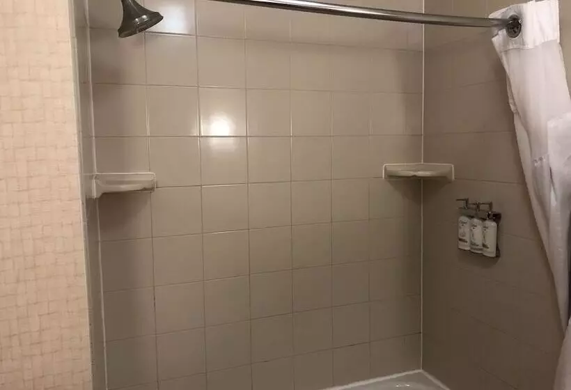 Holiday Inn Express Hotel & Suites Lansing Dimondale, An Ihg