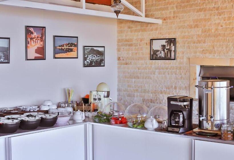 בית מלון כפרי Kayahan