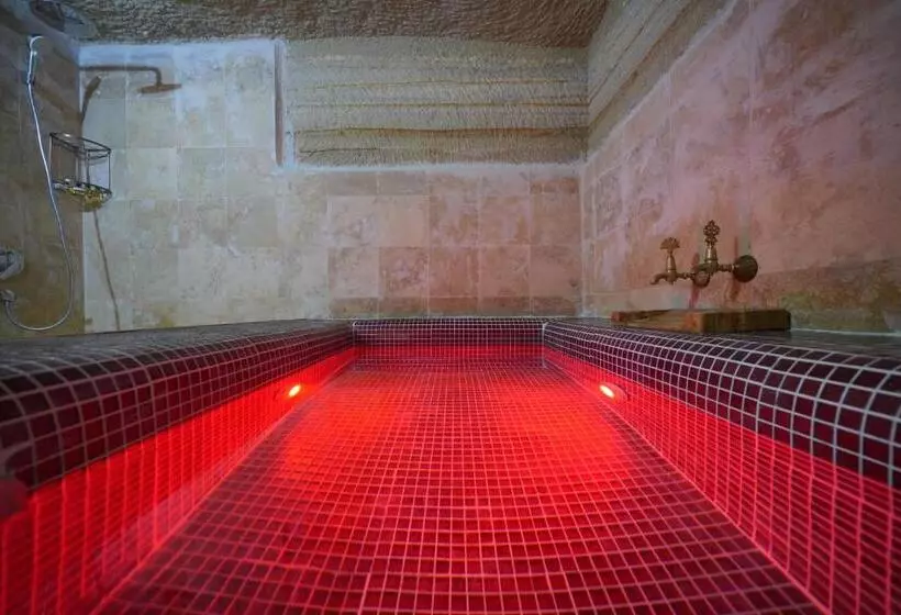 酒店 Travel Inn Cave