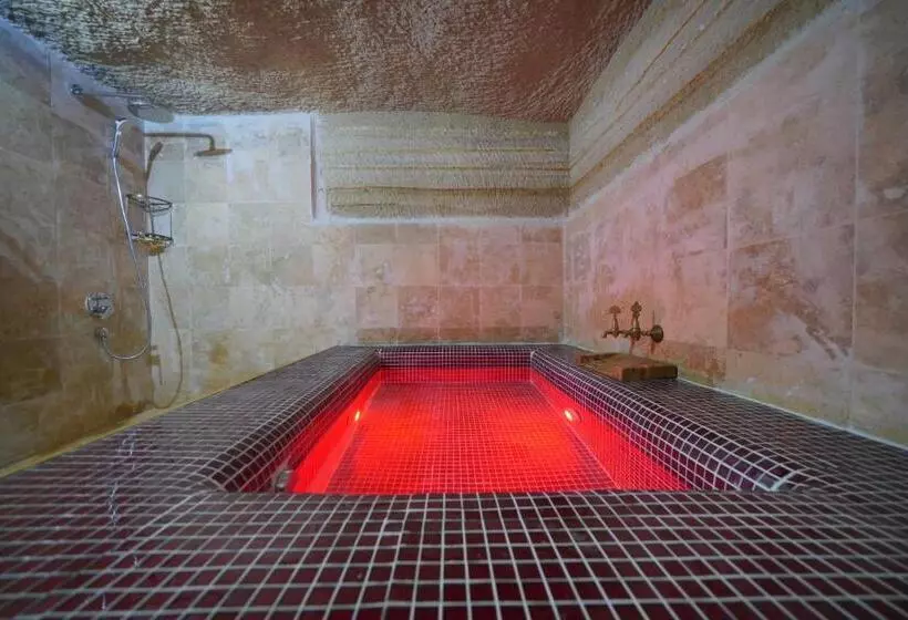 酒店 Travel Inn Cave