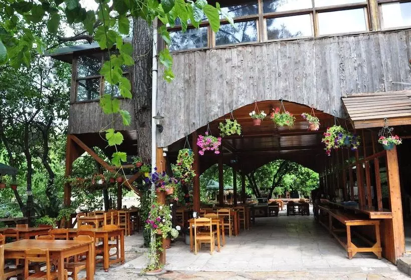 هتل Bayrams Tree Houses