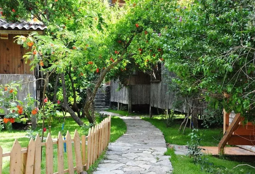 هتل Bayrams Tree Houses