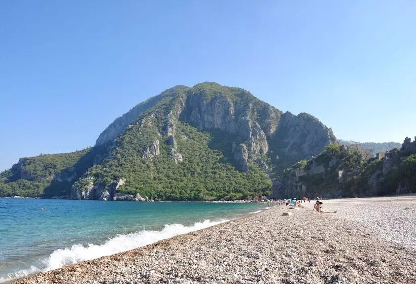 هتل Bayrams Tree Houses