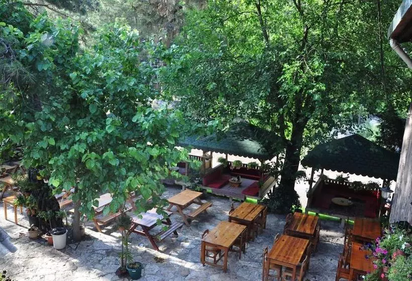 هتل Bayrams Tree Houses