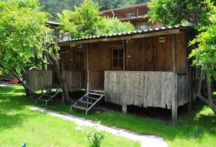 هتل Bayrams Tree Houses