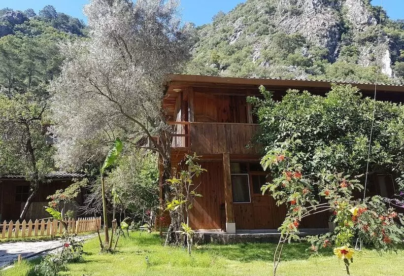 هتل Bayrams Tree Houses